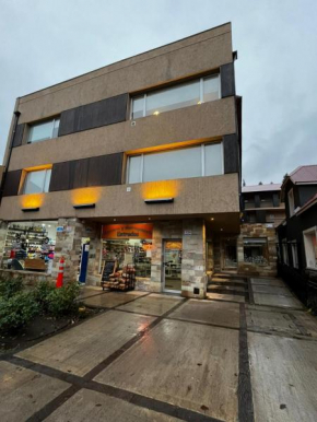 Departamento Aries San Martin De Los Andes